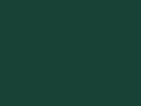 kleur 1197 donker groen  vest